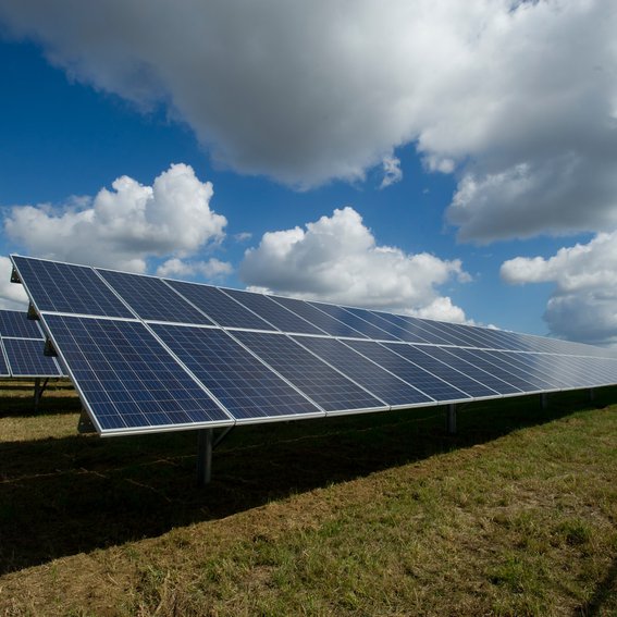 Multiple Solar panels in in field